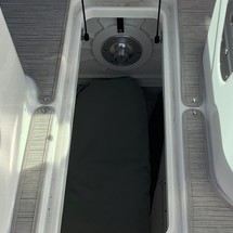 Sea Ray SDX 250