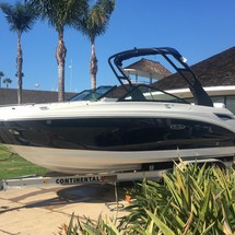 Sea Ray SDX 250
