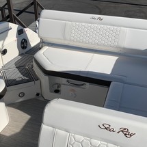 Sea Ray SDX 250