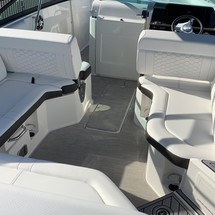 Sea Ray SDX 250