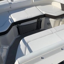 Sea Ray SDX 250