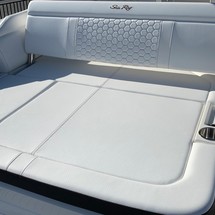 Sea Ray SDX 250
