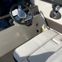 Sea Ray SDX 250