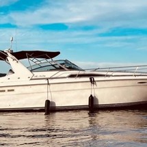 Sea Ray 350 Sundancer