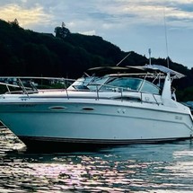 Sea Ray 350 Sundancer