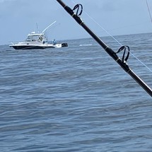 Pro-line 32 express