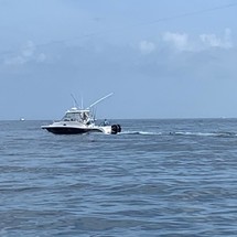 Pro-line 32 express
