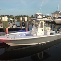 Sea Ray hunt bx22 br