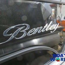 Bentley 200 fish