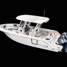 Robalo centre console r272