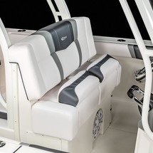 Robalo centre console r272