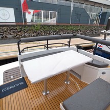 Sargo 31