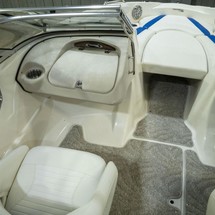 Glastron GT 225