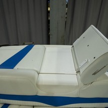 Glastron GT 225