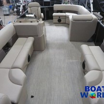 Bentley 200 fish