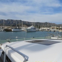 Trader 42