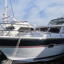 Trader 42
