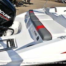 Mercury 75hp elpto