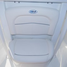 Sea Ray hunt ultra 211