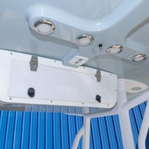 Sea Ray hunt ultra 211