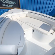 Sea Ray hunt ultra 211