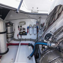 Skater 46 race pleasure