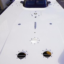 Skater 46 race pleasure