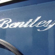 Bentley 200 fish