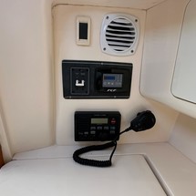Intrepid 310 walkaround