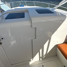 Intrepid 310 walkaround