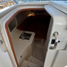 Intrepid 310 walkaround