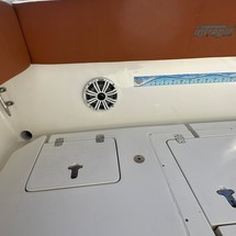 Intrepid 310 walkaround
