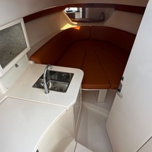 Intrepid 310 walkaround
