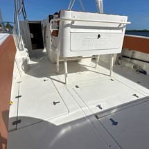 Intrepid 310 walkaround