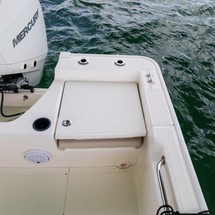 Boston Whaler 210 Montauk