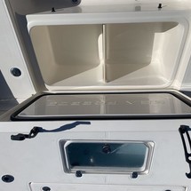 Sea Ray pro 208 bay