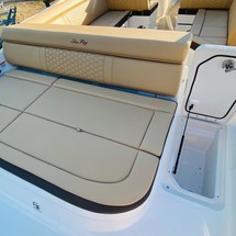 Sea Ray 270 SDX OB