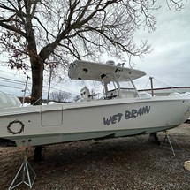 Fountain 38 center console te