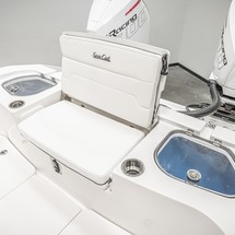 Sea Ray cat 26