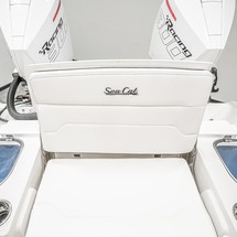 Sea Ray cat 26