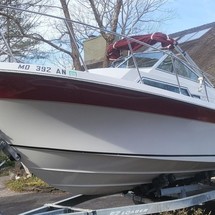 Wellcraft 290 Coastal