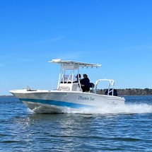 Nauticstar 231