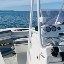 Nauticstar 231