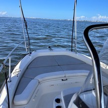 Boston Whaler 210 Dauntless
