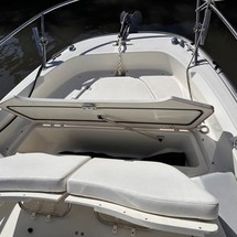 Boston Whaler 210 Dauntless