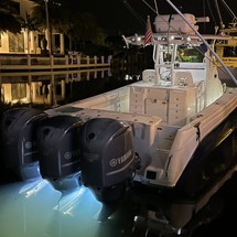 Everglades 350 cc