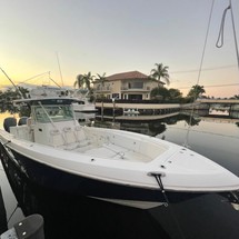 Everglades 350 cc