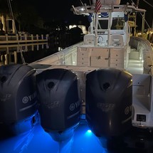 Everglades 350 cc