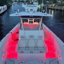 Everglades 350 cc
