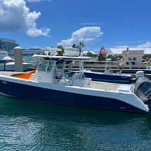 Everglades 350 cc